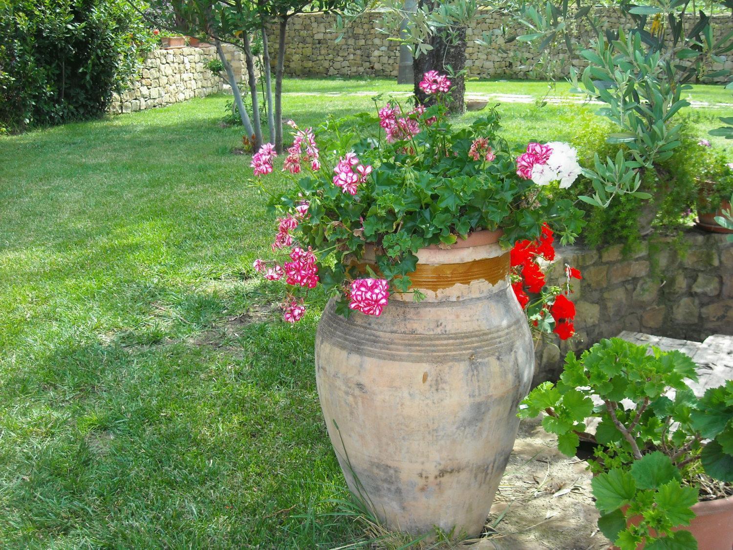 Agriturismo Villa Luca SantʼAgata di Militello Exteriör bild