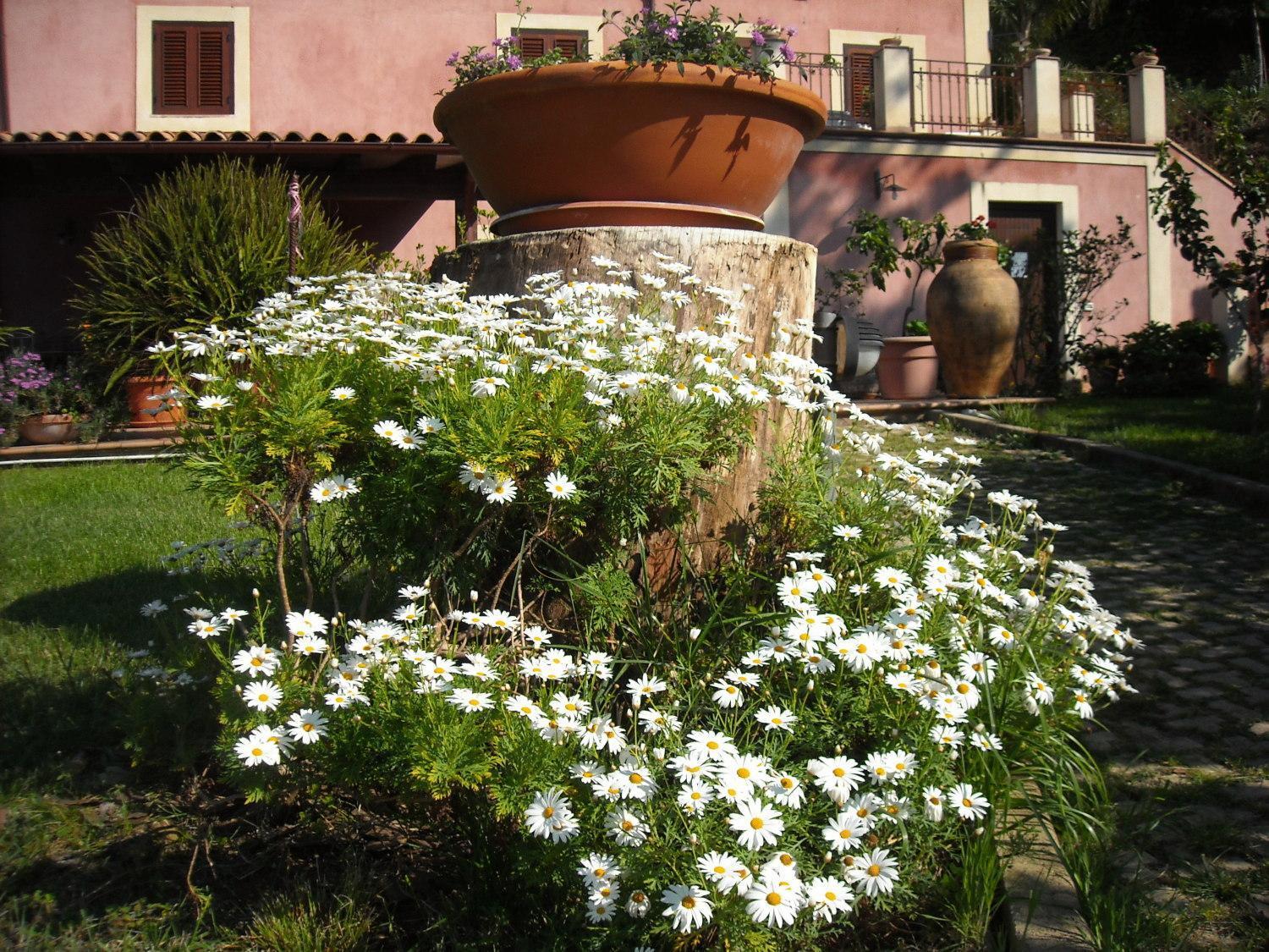 Agriturismo Villa Luca SantʼAgata di Militello Exteriör bild
